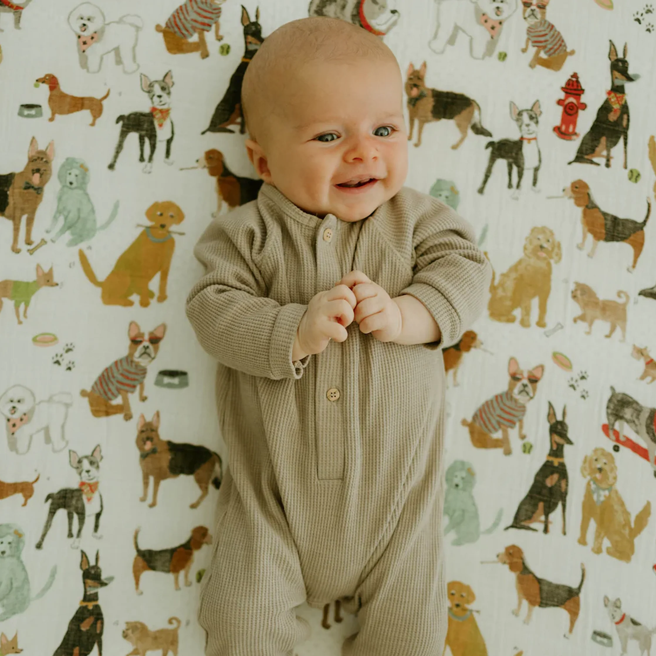 Cotton Muslin Crib Sheet - Woof - Image 5