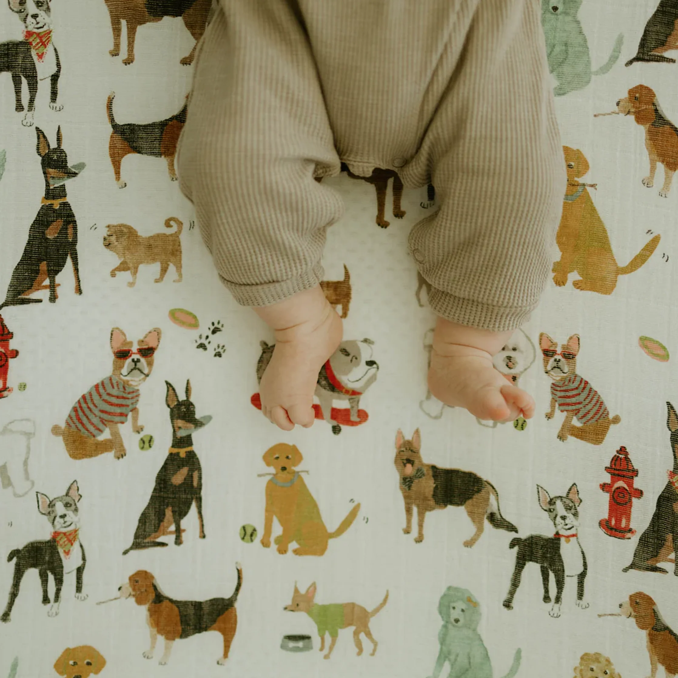 Cotton Muslin Crib Sheet - Woof - Image 6