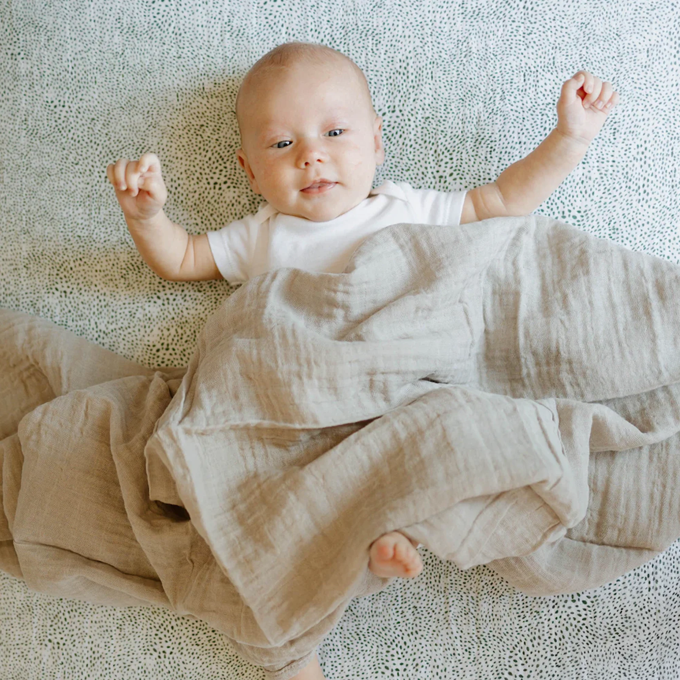 Cotton Muslin Crib Sheet - Green Seed - Image 4